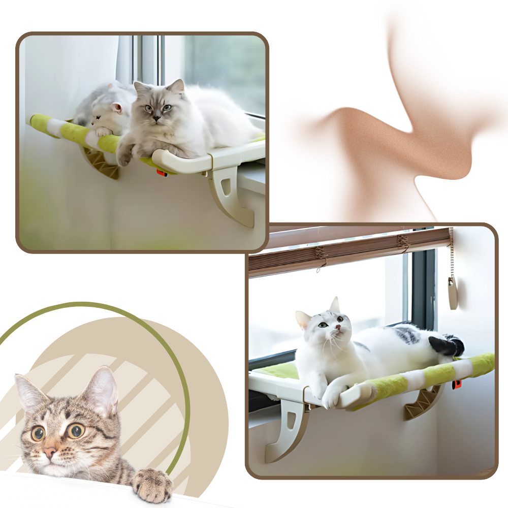 Tool-Free Cat Bed & Window Perch